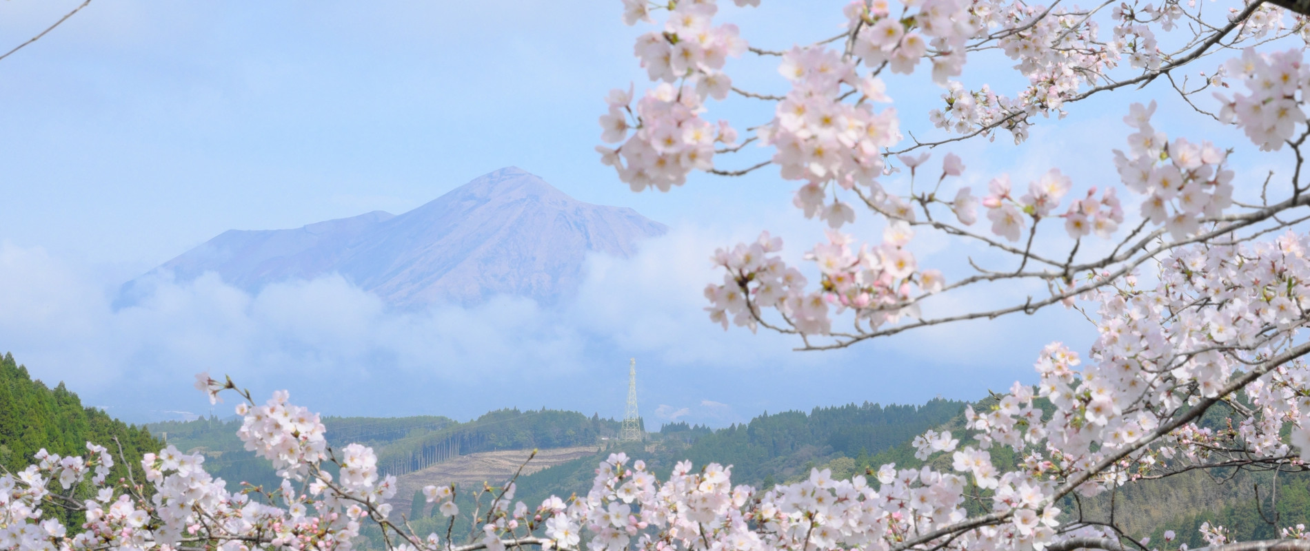 高千穂峰と桜