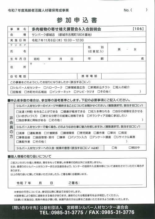 チラシ裏面